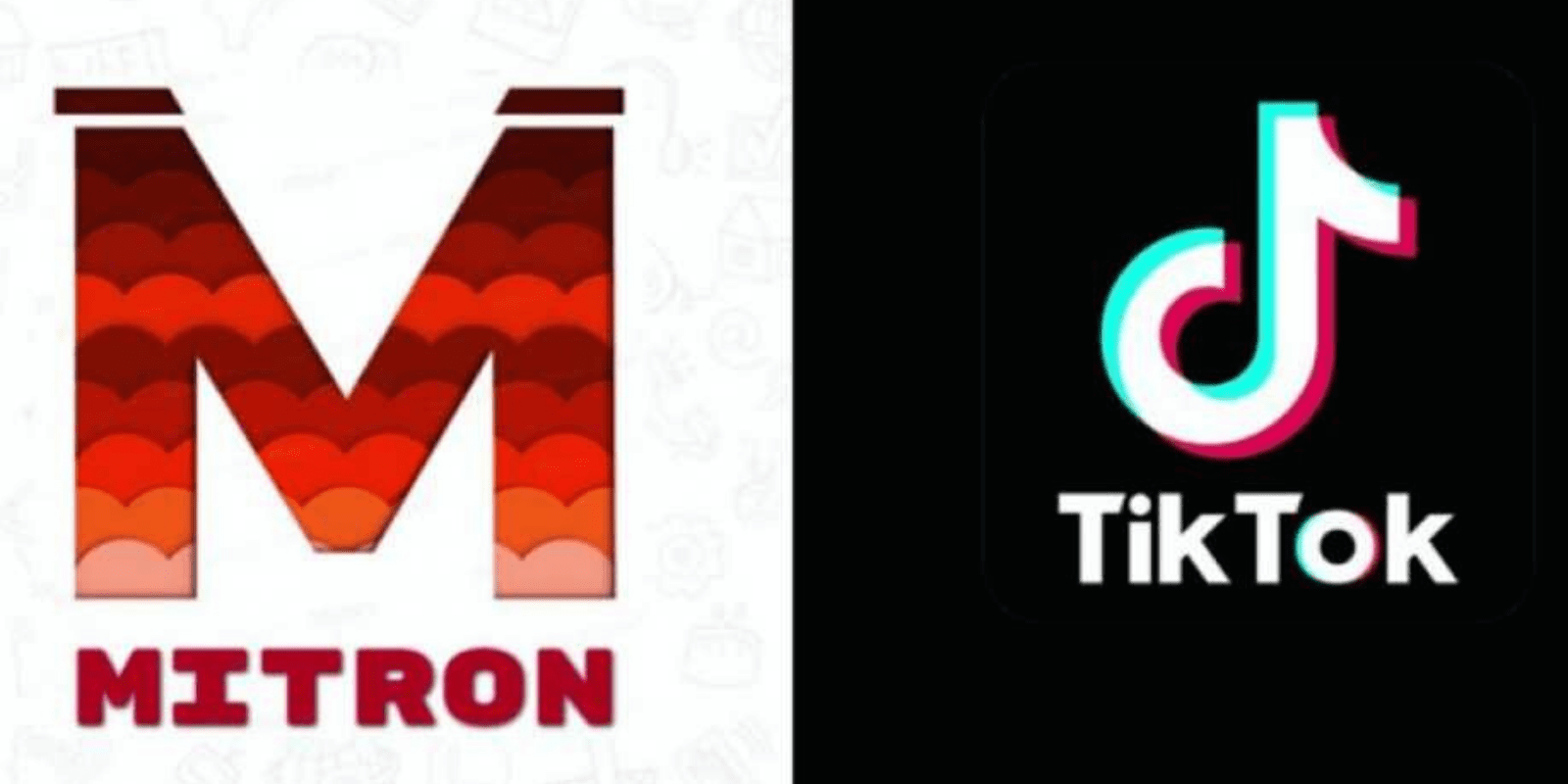 Is Desi TikTok-rival app Mitron has a Pakistan connection