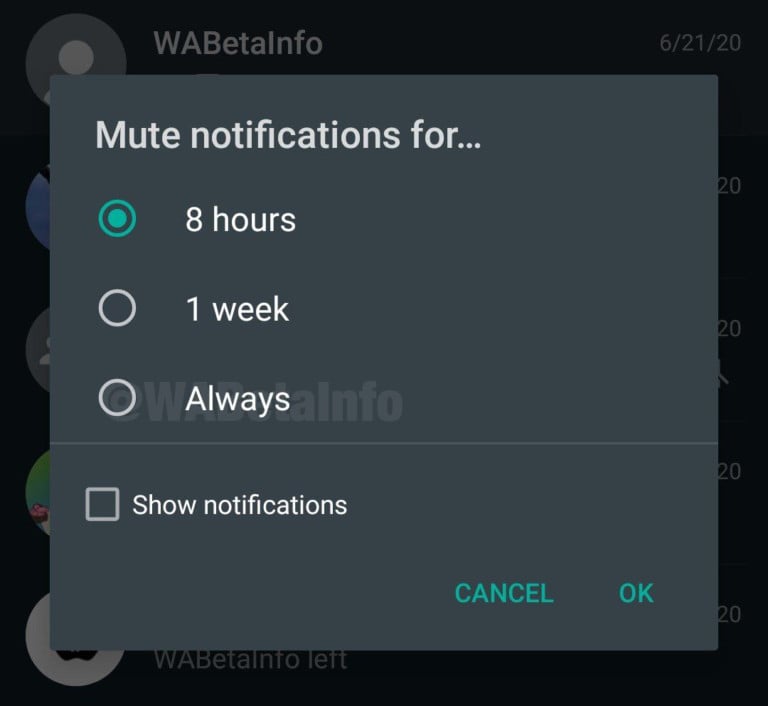 Well-known messaging application, WhatsApp, has now, delivered its much-anticipated feature for its clients, where one can mute someone's chat forever. WhatsApp's Always Mute option is presently accessible on both iOS and Android versions of the application.